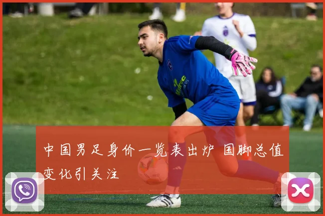 中国男足身价一览表出炉 国脚总值变化引关注