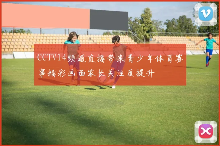 CCTV14频道直播带来青少年体育赛事精彩画面家长关注度提升