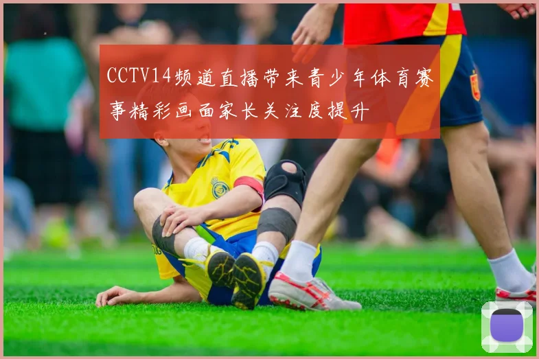 CCTV14频道直播带来青少年体育赛事精彩画面家长关注度提升