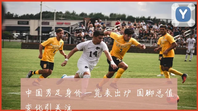 中国男足身价一览表出炉 国脚总值变化引关注